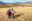 iStock © Sacred Valley