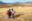 Sacred Valley