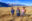Sacred Valley