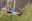 per_amazon_macaw_shutterstock_178191452 Macaw