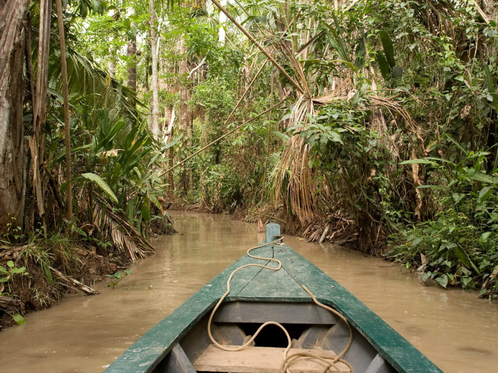 Tambopata