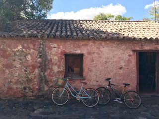 Colonia