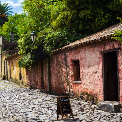 Colonia