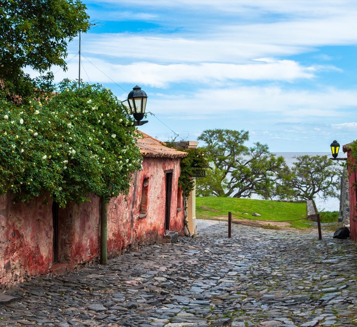 Colonia