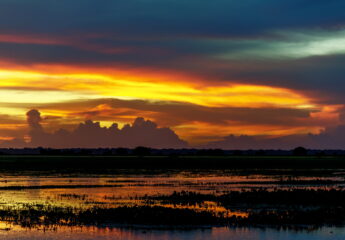 Los LLanos