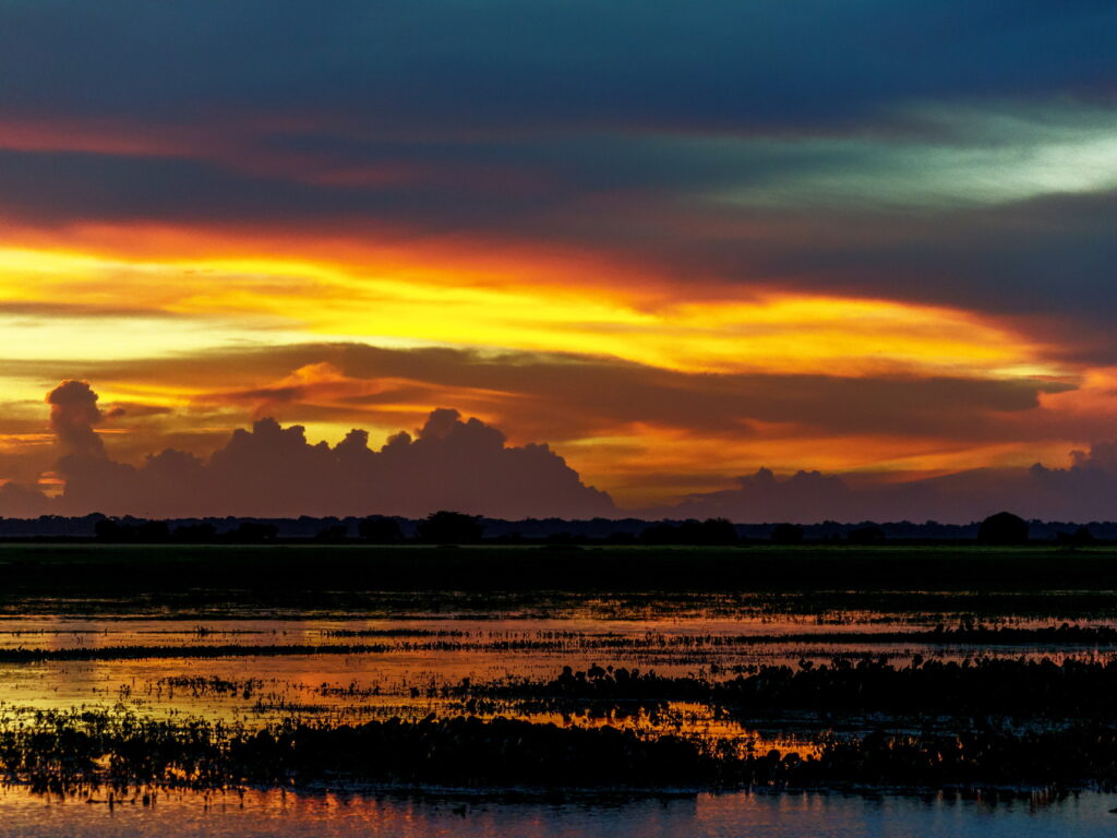 Los LLanos