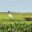 Los Llanos