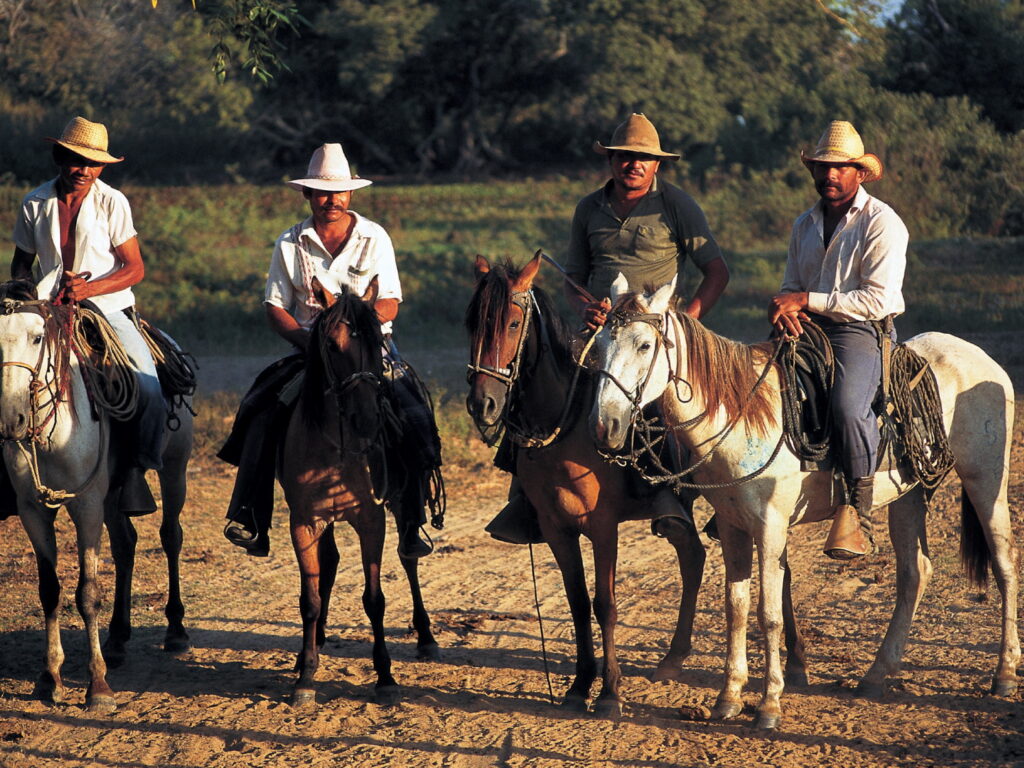 Cowboys in Los Llanos