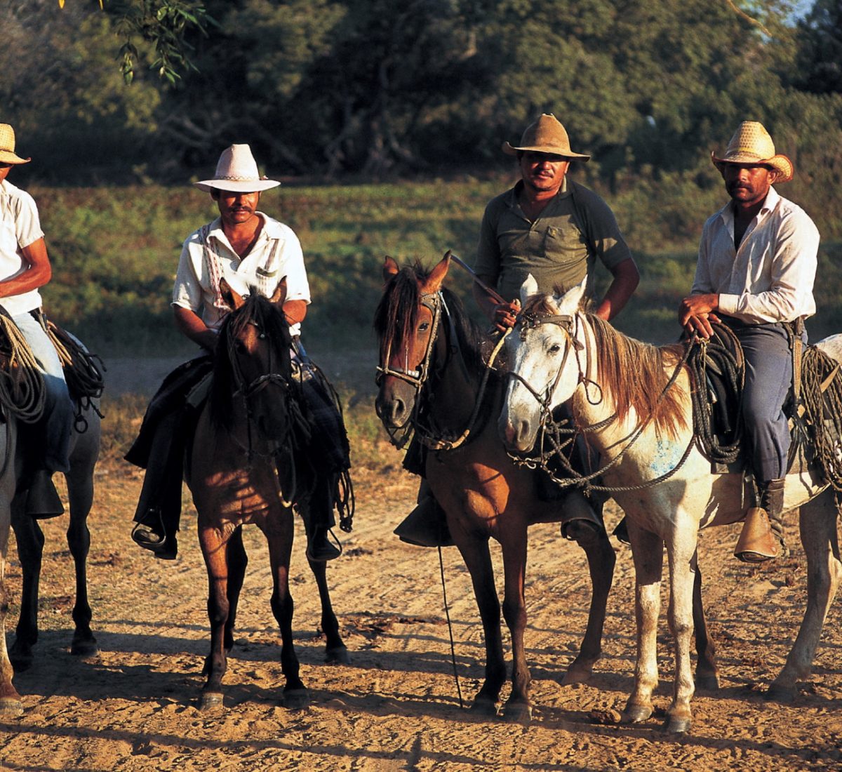 Cowboys in Los Llanos