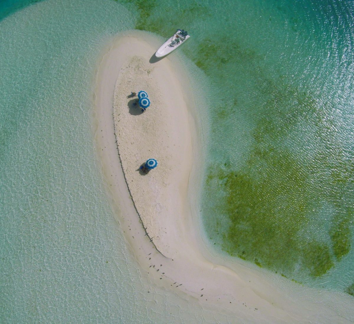 Los Roques