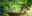 ECU_AmazonianTribe Amazonian on boat