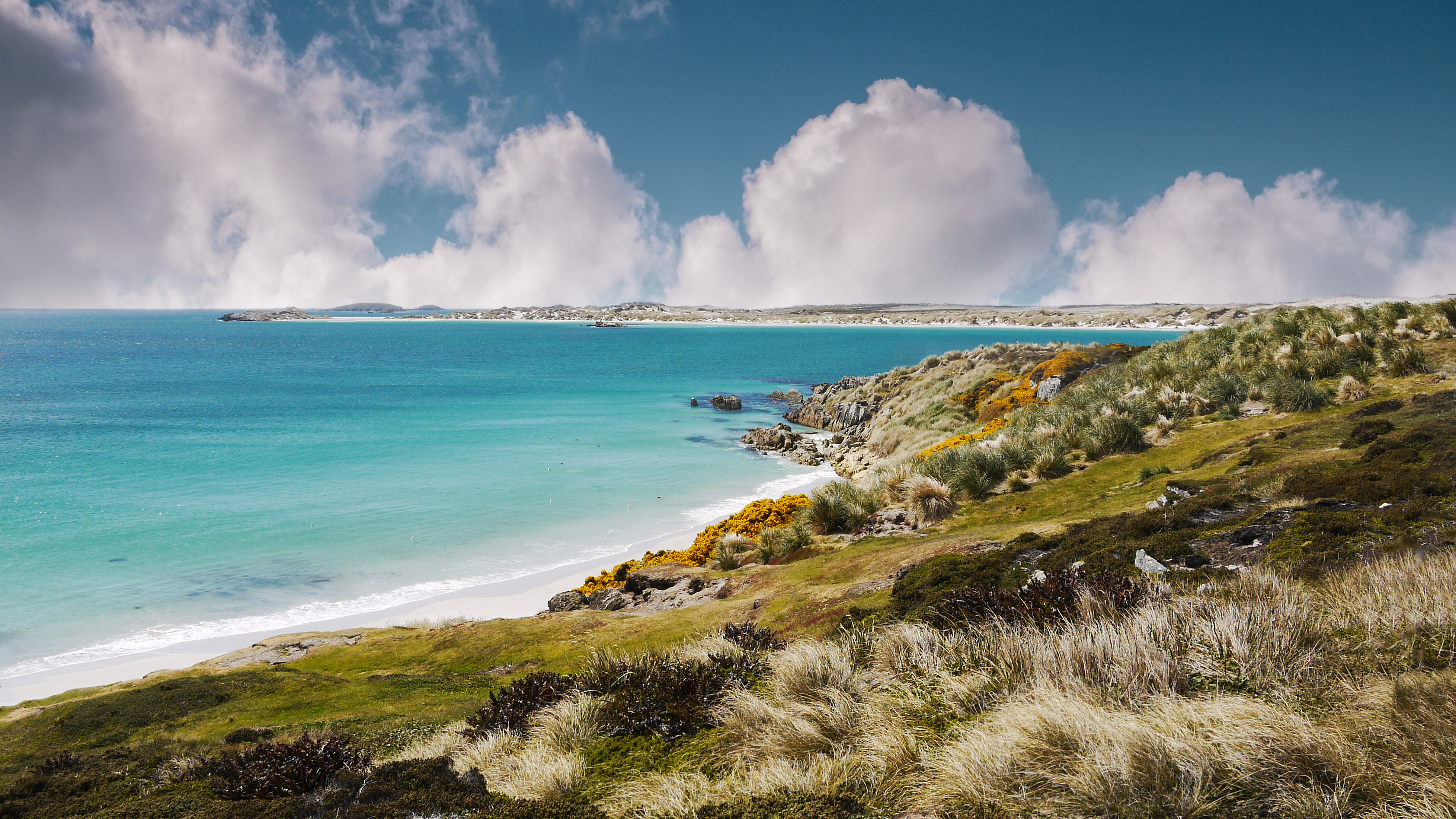 Falkland beach