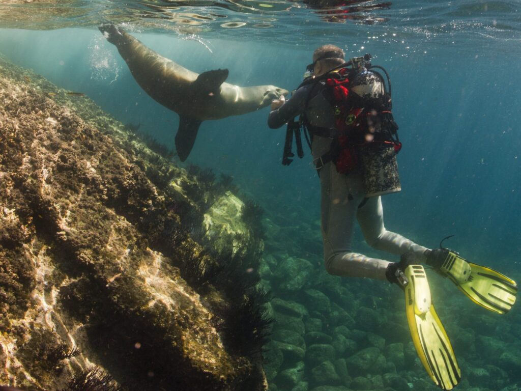 Diving