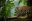Wildlife
