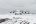 ANTARCTICA XXI © ANTARCTICA XXI ©