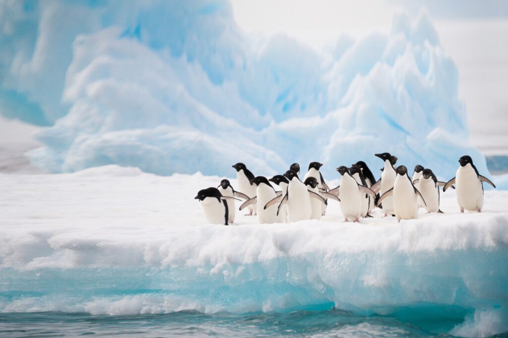 iStock ©
