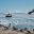 ANT_BoatFromNekoHarbourBeach_KeithTurner_freewithcredit