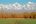 ShutterStock © ShutterStock ©