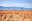 ShutterStock © ShutterStock ©