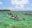 BEL_Caribbean_GLoversReef_HotelOwned (12) BEL_Caribbean_GLoversReef_HotelOwned (12)