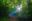 BEL_MayaMountains_BocawinaRainforest_HotelOwned