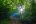 BEL_MayaMountains_BocawinaRainforest_HotelOwned BEL_MayaMountains_BocawinaRainforest_HotelOwned