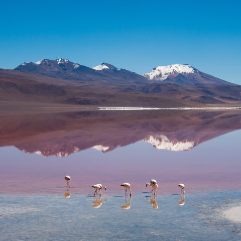 ShutterStock © ShutterStock ©