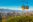 ShutterStock © ShutterStock ©