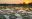 ShutterStock © pantanal