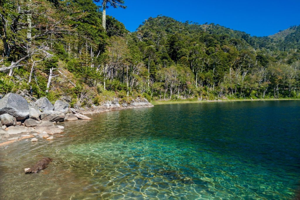 CHI_HuerquehueNationalPark_LagunaVerde_Shutterstock_347578889
