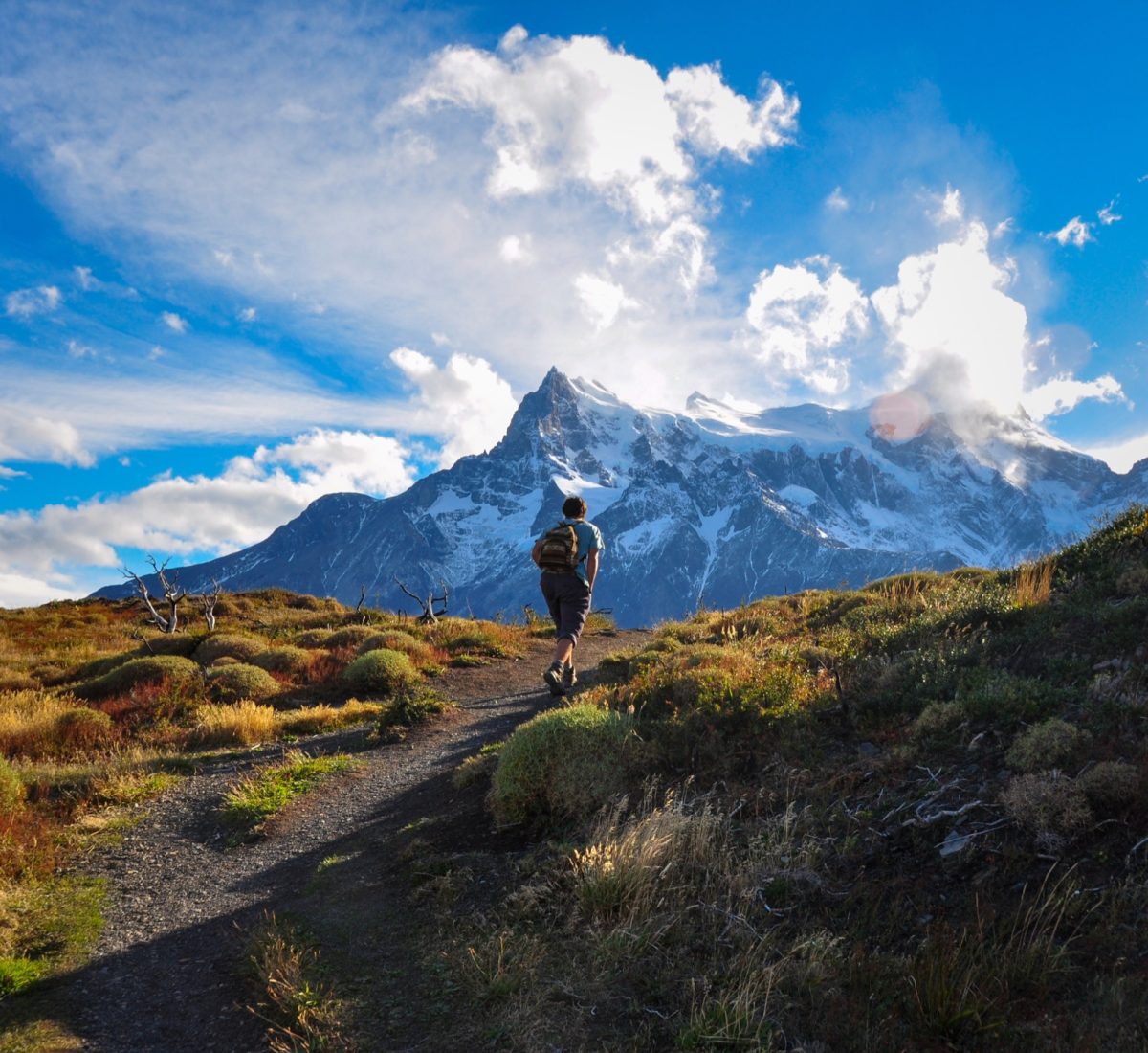 Man hiking in Torres Del Paine National Park