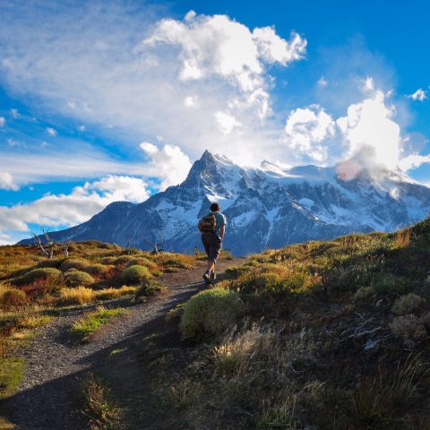Man hiking in Torres Del Paine National Park
