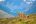 CHI_TorresDelPaine_Guanacos_Shutterstock_232212274 CHI_TorresDelPaine_Guanacos_Shutterstock_232212274