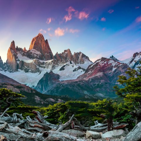 ShutterStock © ShutterStock ©