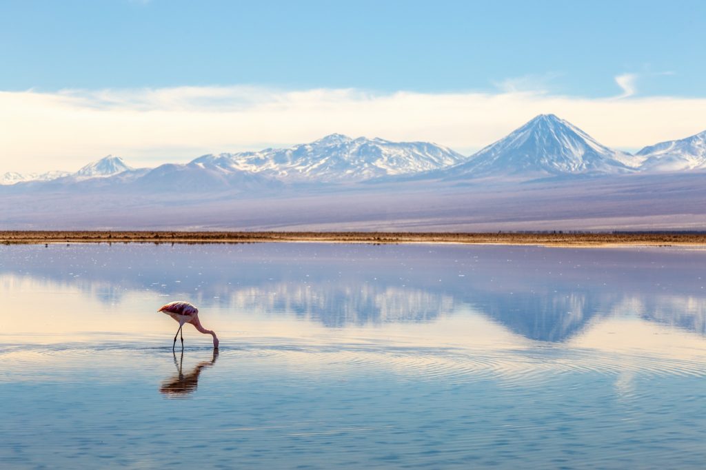 Atacama desert