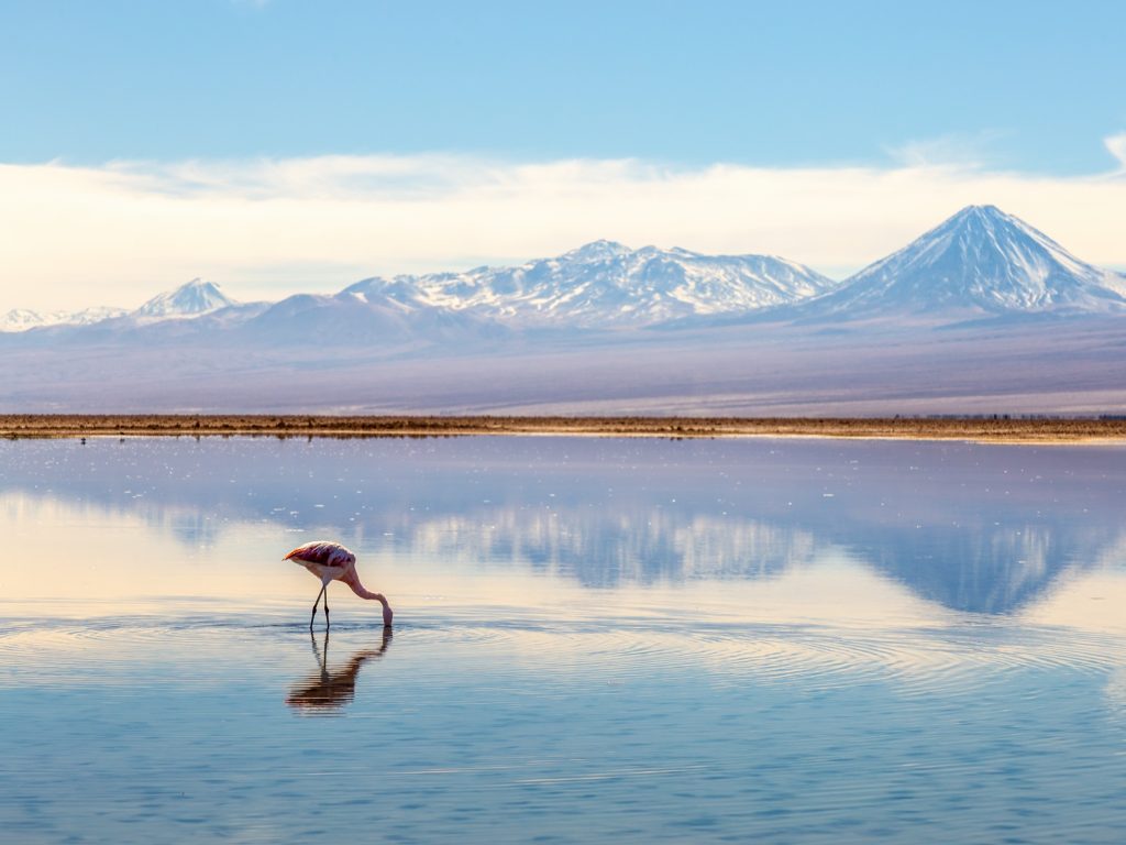 Atacama desert