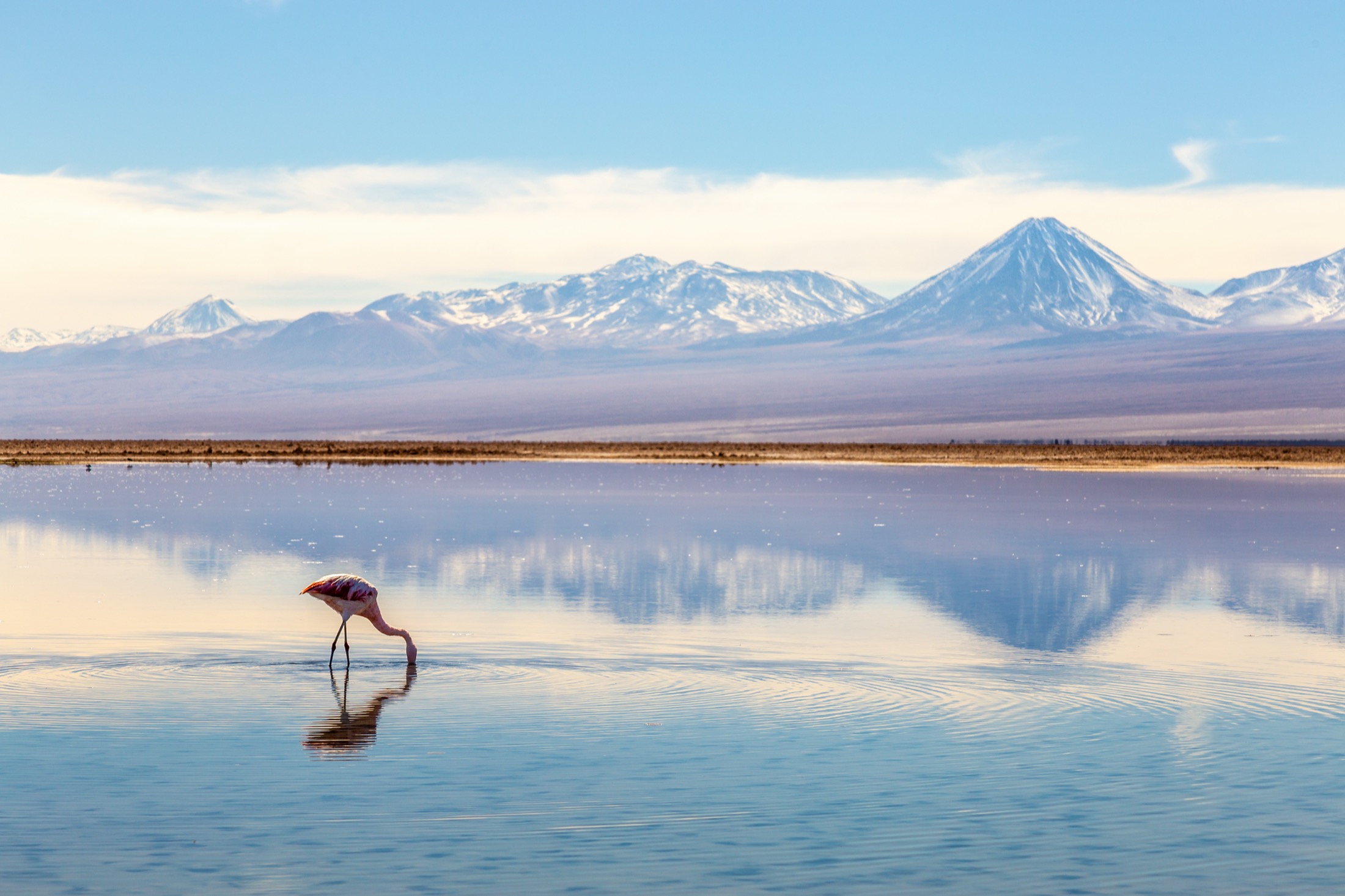 Chile: Atacama Desert and Patagonian glaciers tour - Journey Latin America