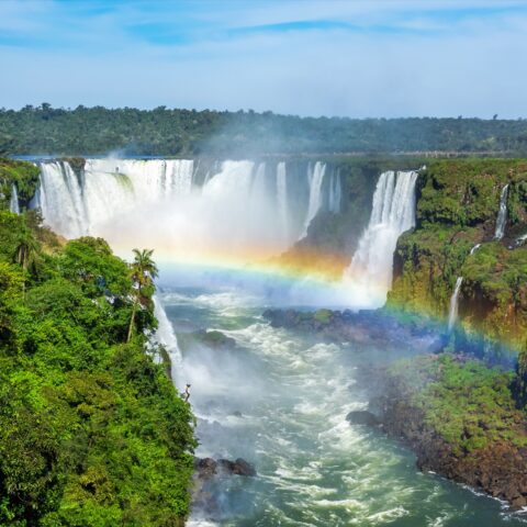 ShutterStock © ShutterStock ©