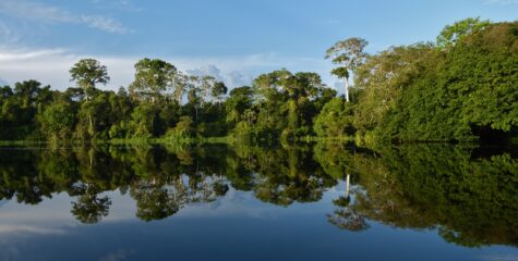 Amazon rainforest of Colombia