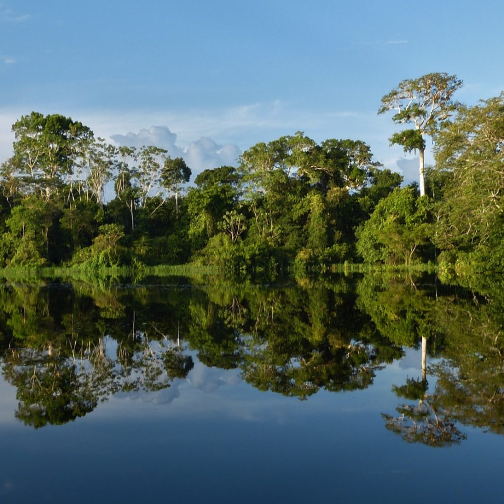 Amazon rainforest of Colombia
