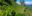 ShutterStock © Colombian coffee region