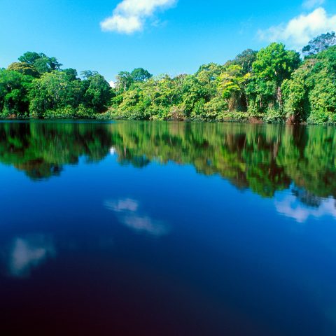 Water and jungle in Tortuguero National Park