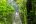 COS_Monteverde_HangingBridge_Shutterstock_1006962364 COS_Monteverde_HangingBridge_Shutterstock_1006962364