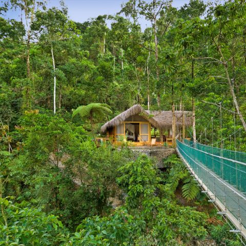 Bridge to Pacuare Lodge in deep jungle