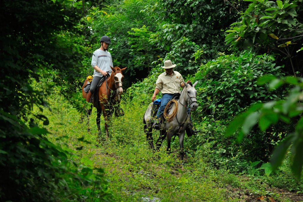 COS_HorseRiding_TouristBoard