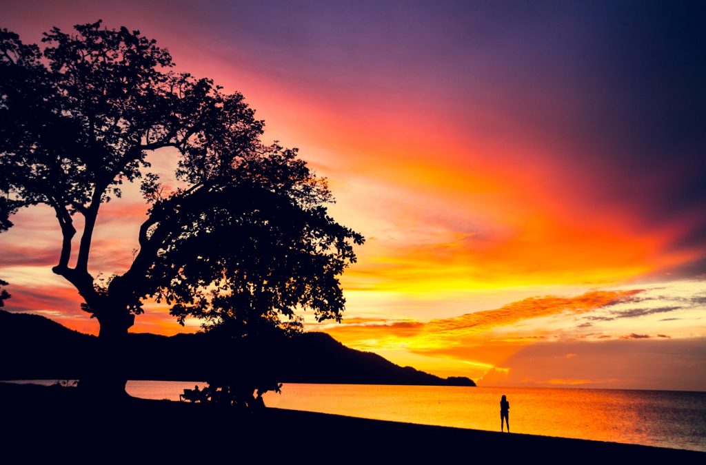 COS_Guanacaste_Shutterstock_142677127