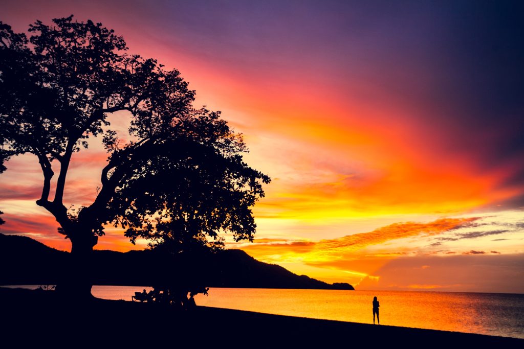 COS_Guanacaste_Shutterstock_142677127