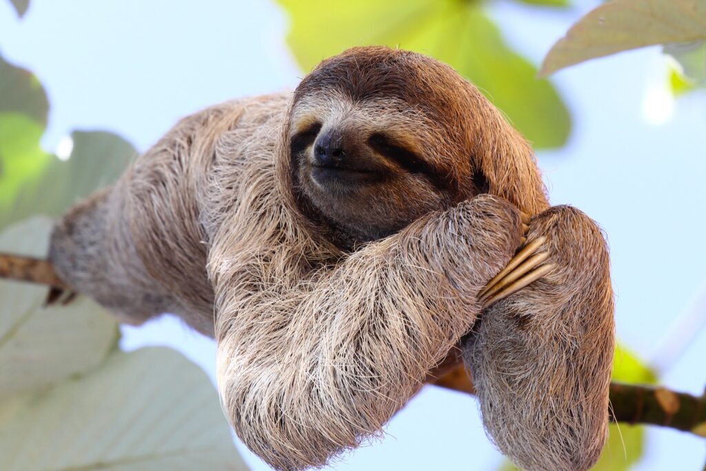 ShutterStock ©