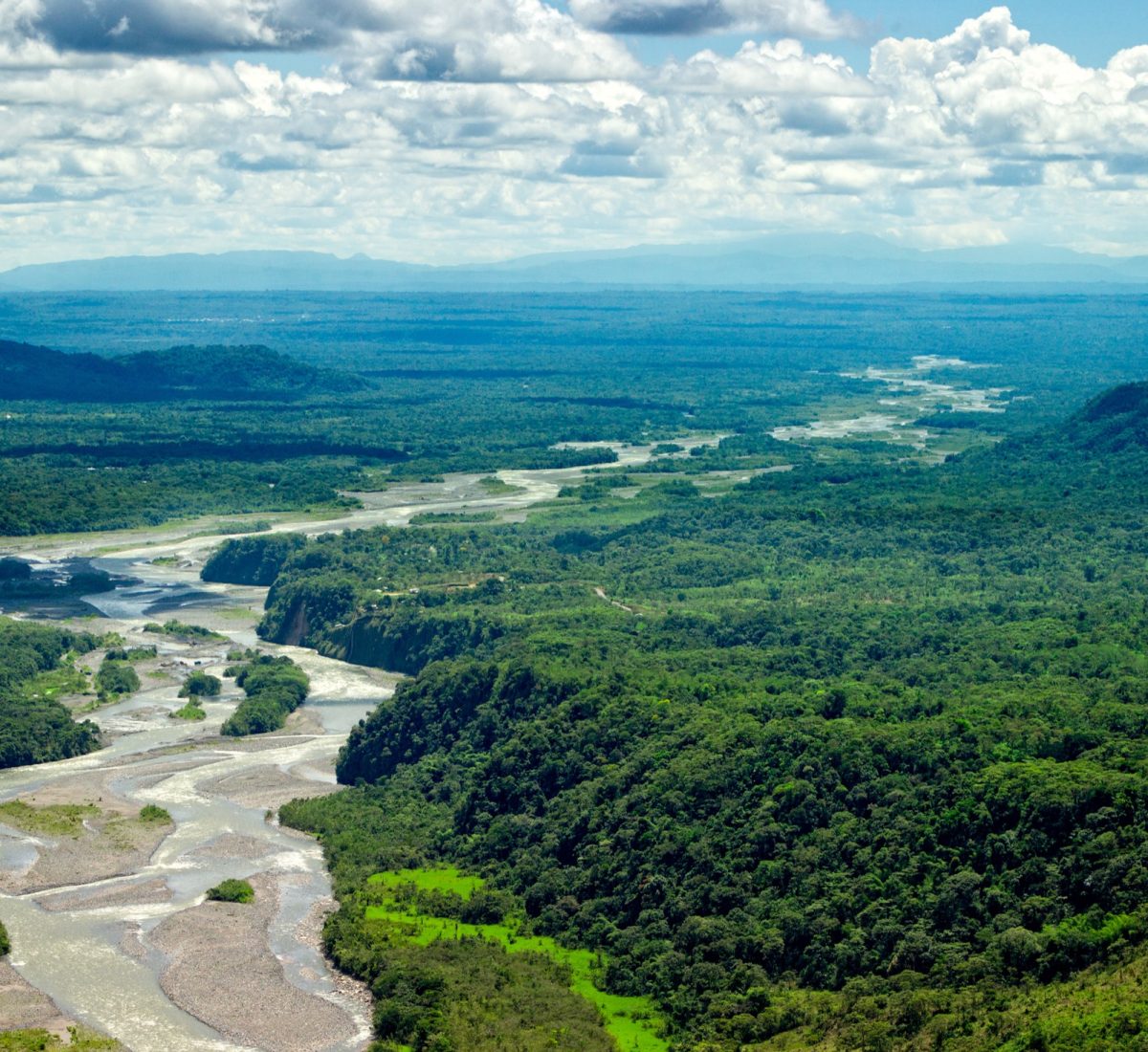 Amazon river flowing through the rainforest
