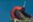 ShutterStock © ShutterStock ©
